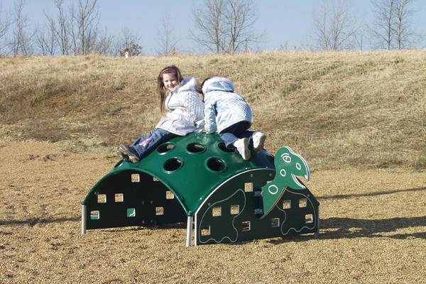 Tortoise Climber