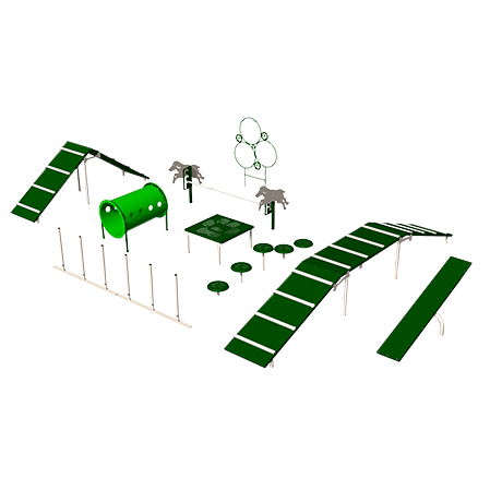 Expert Agility Course
