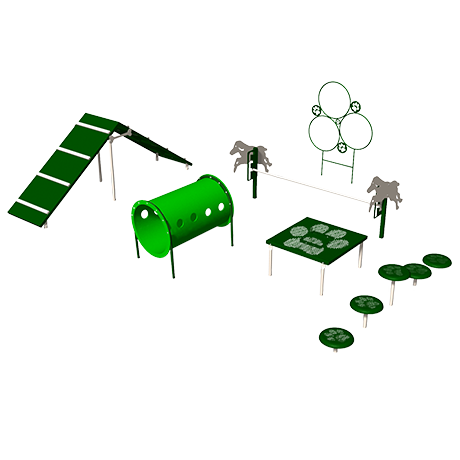 Intermediate Agility Course