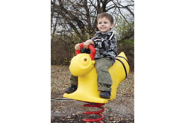 Bumble Bee Spring Rider