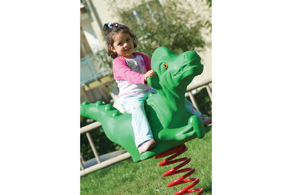 Dino Spring Rider
