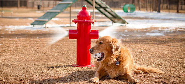 Misting Fire Hydrant