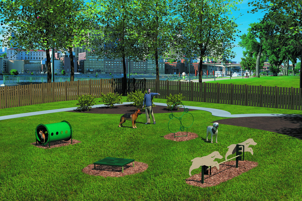 Novice Agility Course