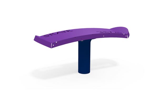 Playmotion Skate Rider