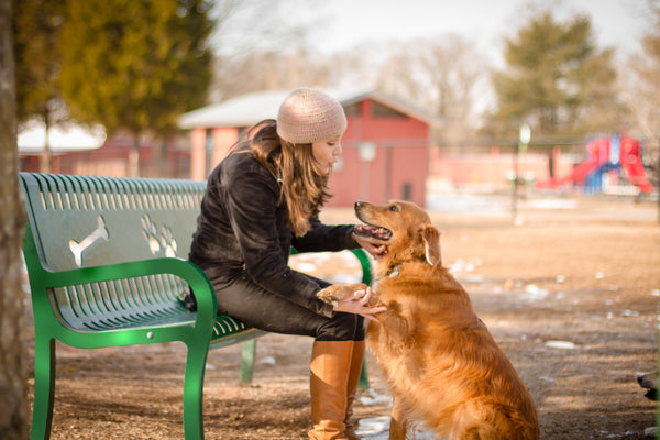 Pooch Perch Bench