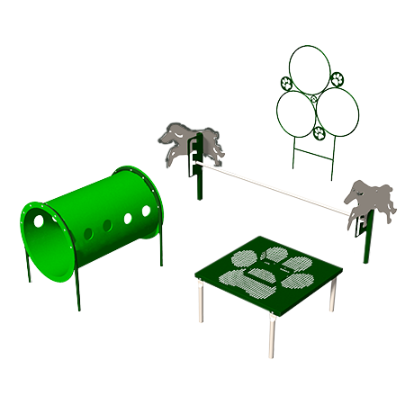 Novice Agility Course