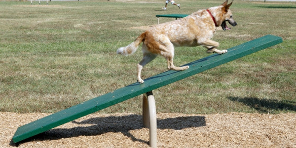Doggie Teeter Totter