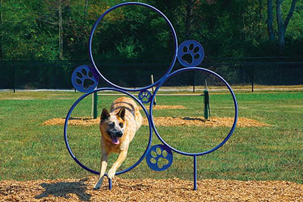 Best In Show Course